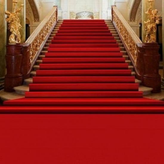 Red Exhibition Carpet 3