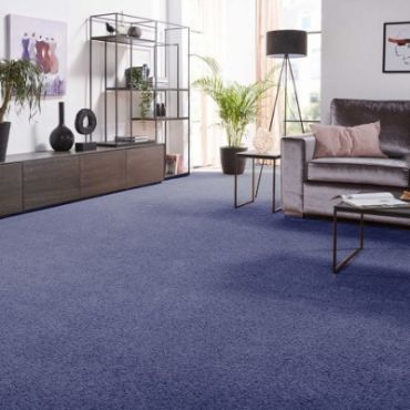 Wall to Wall Carpet 9